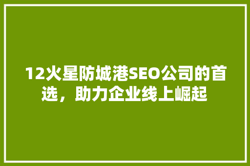 12火星防城港SEO公司的首选，助力企业线上崛起