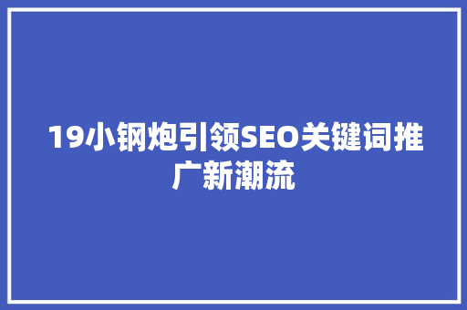 19小钢炮引领SEO关键词推广新潮流
