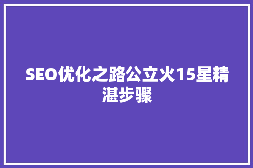 SEO优化之路公立火15星精湛步骤