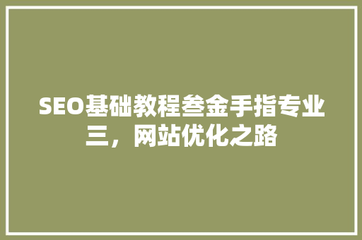 SEO基础教程叁金手指专业三，网站优化之路