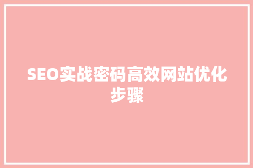 SEO实战密码高效网站优化步骤