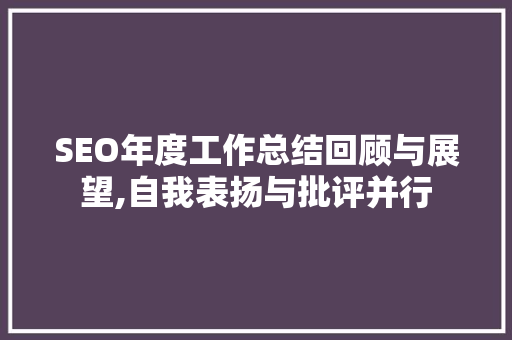 SEO年度工作总结回顾与展望,自我表扬与批评并行