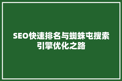 SEO快速排名与蜘蛛屯搜索引擎优化之路
