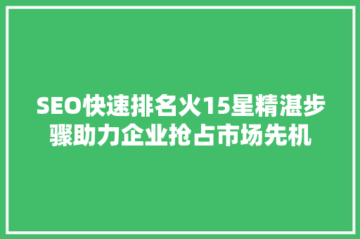 SEO快速排名火15星精湛步骤助力企业抢占市场先机