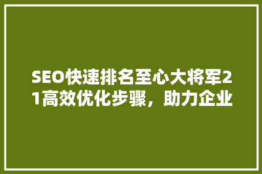SEO快速排名至心大将军21高效优化步骤，助力企业腾飞