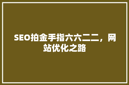 SEO拍金手指六六二二，网站优化之路