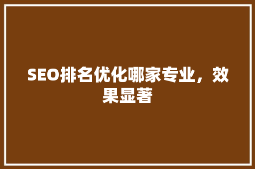 SEO排名优化哪家专业，效果显著