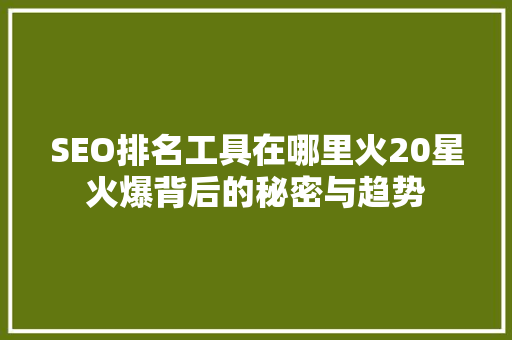 SEO排名工具在哪里火20星火爆背后的秘密与趋势