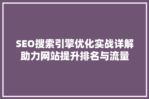 SEO搜索引擎优化实战详解助力网站提升排名与流量