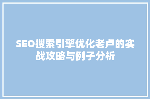 SEO搜索引擎优化老卢的实战攻略与例子分析