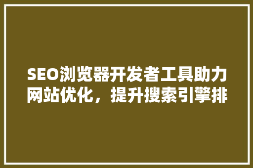 SEO浏览器开发者工具助力网站优化，提升搜索引擎排名