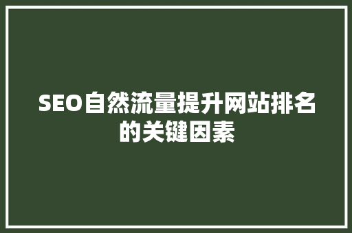 SEO自然流量提升网站排名的关键因素