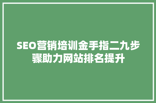 SEO营销培训金手指二九步骤助力网站排名提升