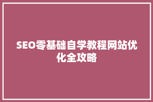 SEO零基础自学教程网站优化全攻略