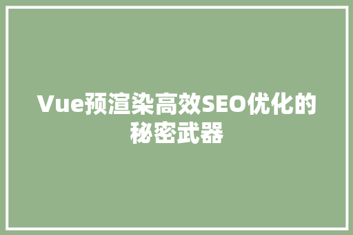 Vue预渲染高效SEO优化的秘密武器