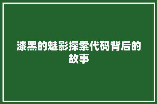 漆黑的魅影探索代码背后的故事