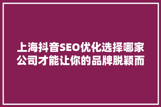上海抖音SEO优化选择哪家公司才能让你的品牌脱颖而出