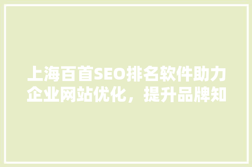 上海百首SEO排名软件助力企业网站优化，提升品牌知名度