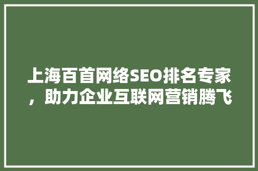 上海百首网络SEO排名专家，助力企业互联网营销腾飞