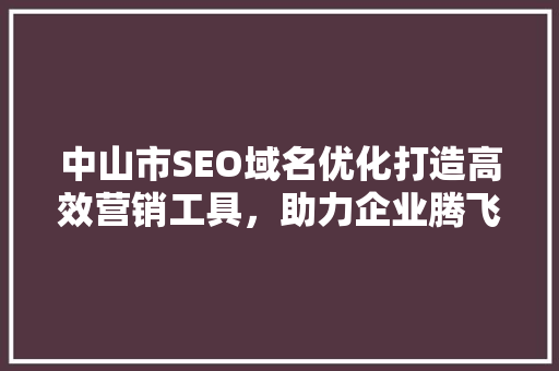 中山市SEO域名优化打造高效营销工具，助力企业腾飞