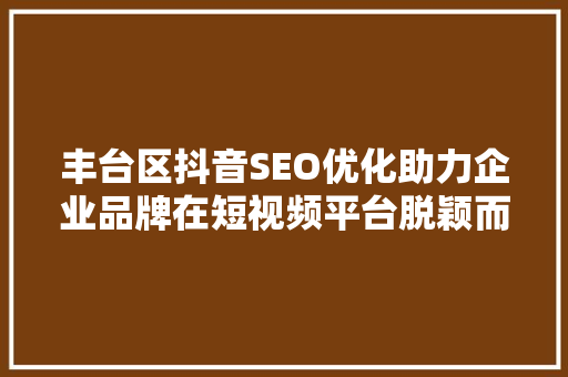 丰台区抖音SEO优化助力企业品牌在短视频平台脱颖而出