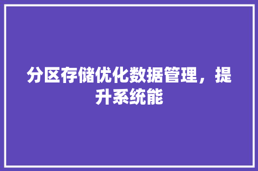 分区存储优化数据管理，提升系统能