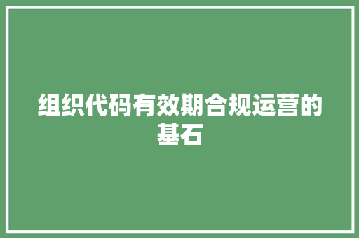 组织代码有效期合规运营的基石