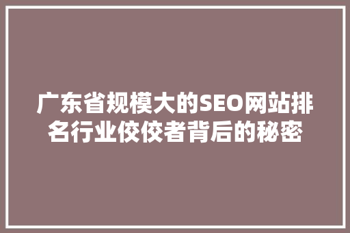 广东省规模大的SEO网站排名行业佼佼者背后的秘密
