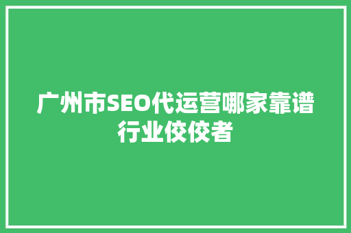 广州市SEO代运营哪家靠谱行业佼佼者