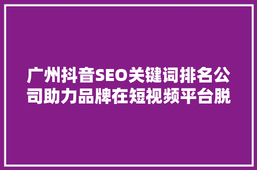 广州抖音SEO关键词排名公司助力品牌在短视频平台脱颖而出