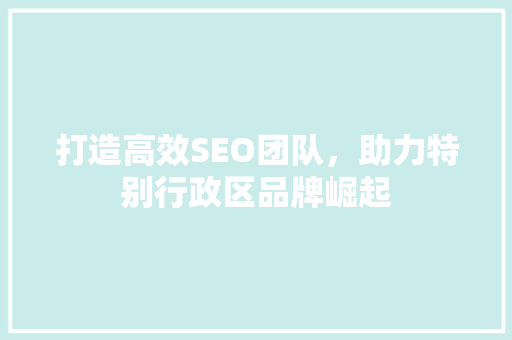 打造高效SEO团队，助力特别行政区品牌崛起
