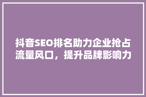 抖音SEO排名助力企业抢占流量风口，提升品牌影响力