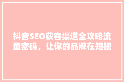 抖音SEO获客渠道全攻略流量密码，让你的品牌在短视频时代脱颖而出