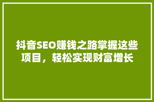 抖音SEO赚钱之路掌握这些项目，轻松实现财富增长