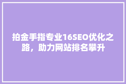 拍金手指专业16SEO优化之路，助力网站排名攀升
