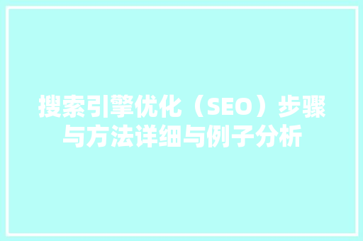 搜索引擎优化（SEO）步骤与方法详细与例子分析