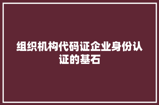 组织机构代码证企业身份认证的基石