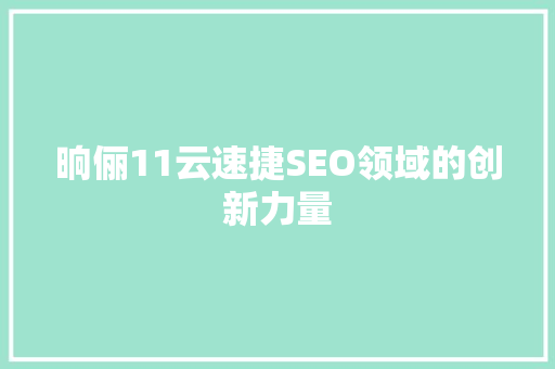 晌俪11云速捷SEO领域的创新力量
