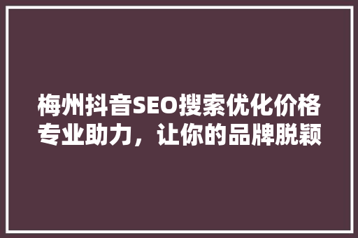 梅州抖音SEO搜索优化价格专业助力，让你的品牌脱颖而出