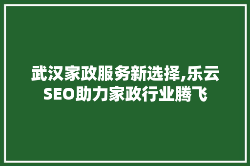 武汉家政服务新选择,乐云SEO助力家政行业腾飞