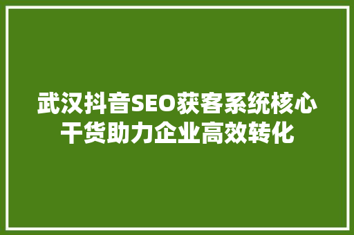 武汉抖音SEO获客系统核心干货助力企业高效转化