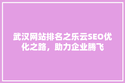 武汉网站排名之乐云SEO优化之路，助力企业腾飞