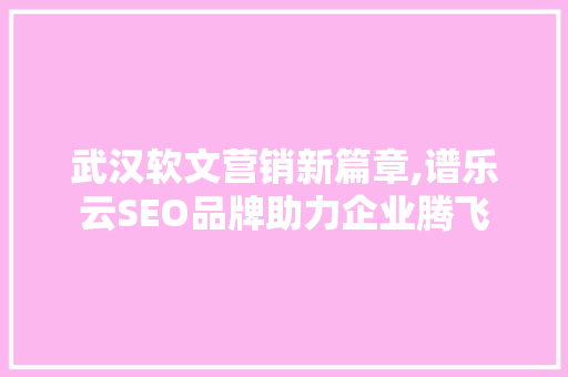 武汉软文营销新篇章,谱乐云SEO品牌助力企业腾飞