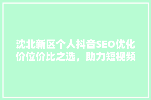 沈北新区个人抖音SEO优化价位价比之选，助力短视频营销