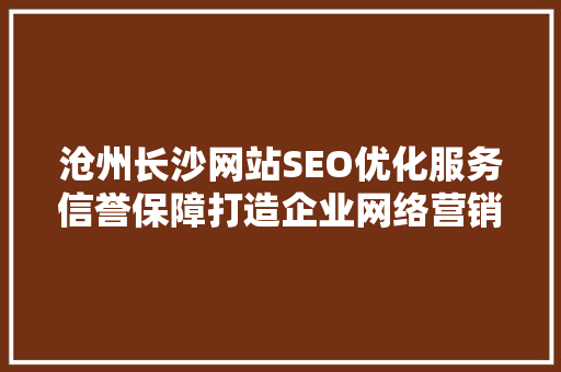 沧州长沙网站SEO优化服务信誉保障打造企业网络营销新高度
