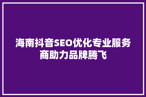 海南抖音SEO优化专业服务商助力品牌腾飞