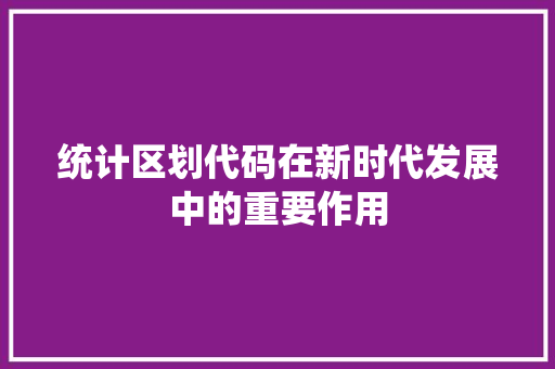 统计区划代码在新时代发展中的重要作用