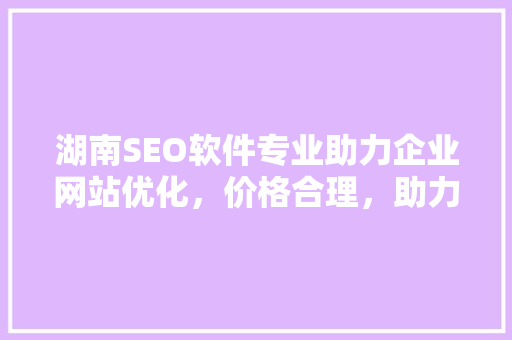 湖南SEO软件专业助力企业网站优化，价格合理，助力企业腾飞
