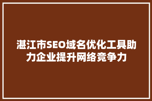 湛江市SEO域名优化工具助力企业提升网络竞争力