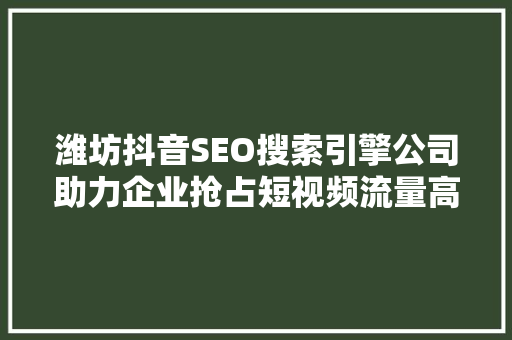 潍坊抖音SEO搜索引擎公司助力企业抢占短视频流量高地